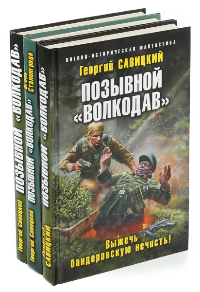 Обложка книги Георгий Савицкий. Цикл 