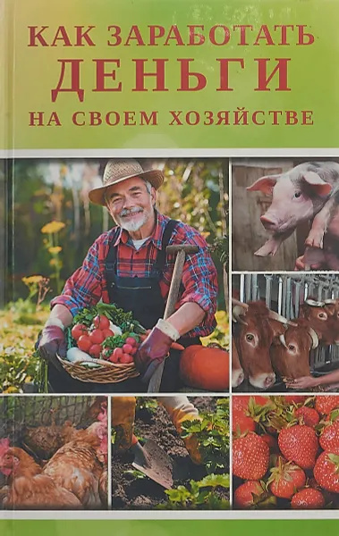 Обложка книги Как заработать деньги на своем хозяйстве, И. В. Ткаченко