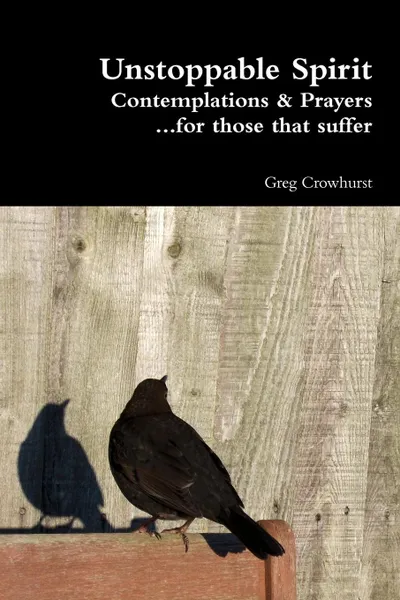Обложка книги Unstoppable Spirit, Greg Crowhurst