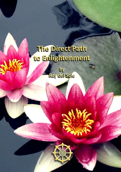 Обложка книги The Direct Path to Enlightenment, Ray del Sole