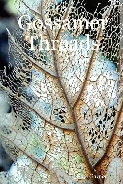 Обложка книги Gossamer Threads, Shei Garner