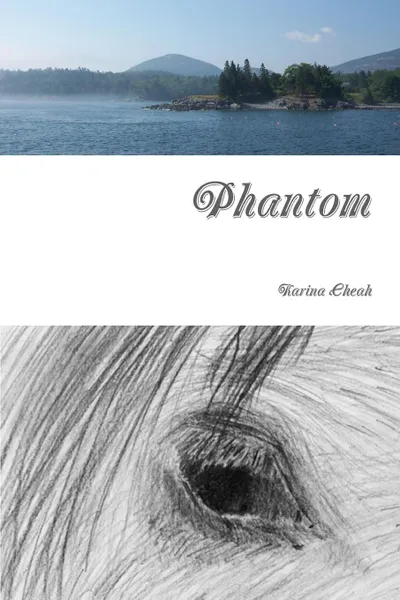 Обложка книги Phantom, Karina Cheah
