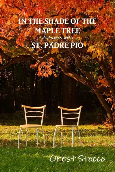 Обложка книги In the Shade of the Maple Tree, Orest Stocco