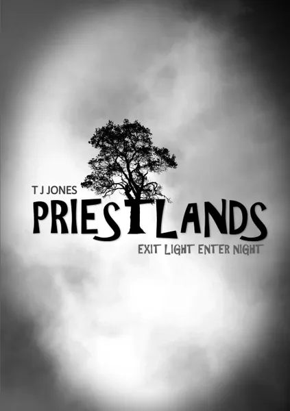 Обложка книги Priestlands, T J Jones