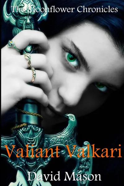 Обложка книги Valiant Valkari, David Mason