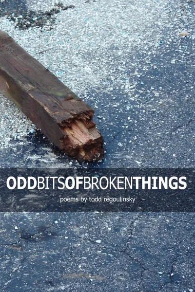 Обложка книги Odd Bits Of Broken Things, Todd Regoulinsky