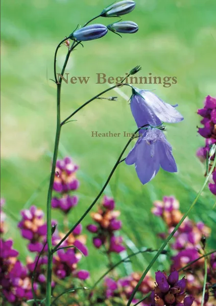 Обложка книги New Beginnings, Heather Innes