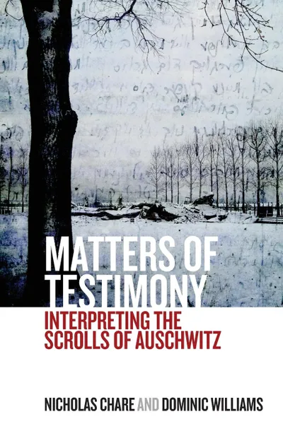 Обложка книги Matters of Testimony. Interpreting the Scrolls of Auschwitz, Nicholas Chare, Dominic Williams