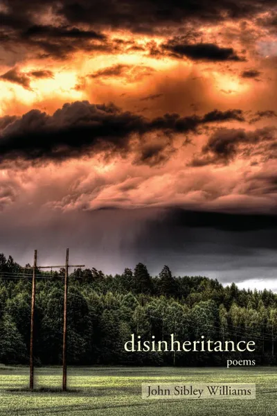 Обложка книги Disinheritance. Poems, John Sibley Williams