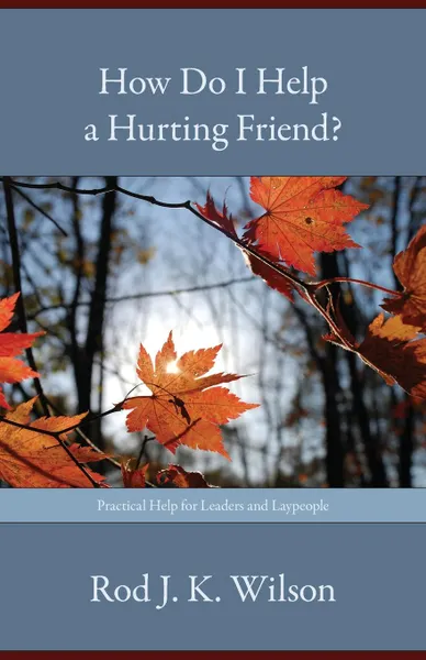 Обложка книги How Do I Help a Hurting Friend., Rod J. K. Wilson