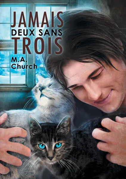 Обложка книги Jamais deux sans trois, M.A Church, J.N.