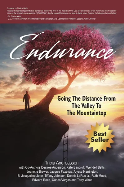 Обложка книги Endurance. Going The Distance From The Valley To The Mountaintop, Tricia Andreassen