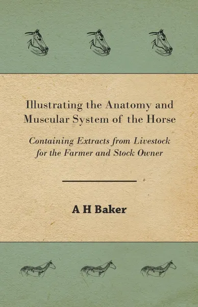 Обложка книги Illustrating the Anatomy and Muscular System of the Horse - Containing Extracts from Livestock for the Farmer and Stock Owner, A H Baker