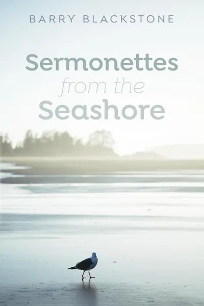 Обложка книги Sermonettes from the Seashore, Barry Blackstone
