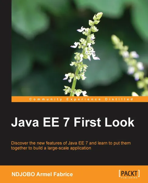 Обложка книги Java Ee 7 First Look, Ndjobo Armel Fabrice