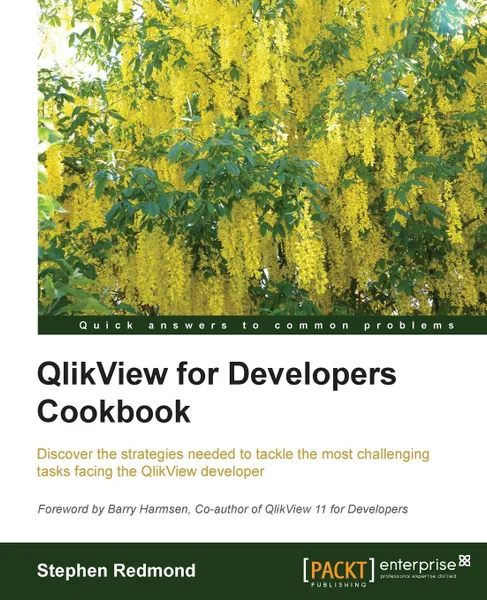 Обложка книги Qlikview for Developers Cookbook, Stephen Redmond