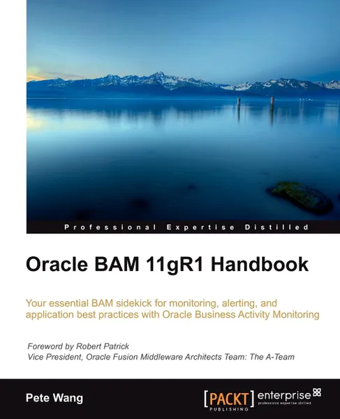 Обложка книги Oracle Bam 11gr1 Handbook, Peter Chen-Chao Wang, Pete Wang