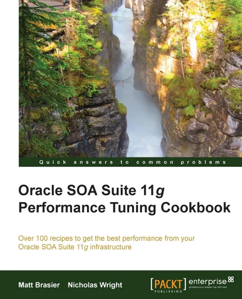 Обложка книги Oracle Soa Suite 11g Performance Cookbook, Matthew Brasier, Mark Addy, Nicholas Wright