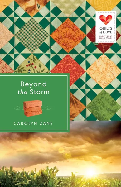 Обложка книги Beyond the Storm, Carolyn Zane