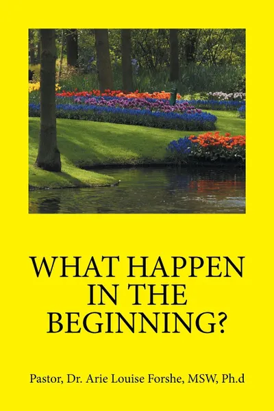 Обложка книги WHAT HAPPEN IN THE BEGINNING?, Ph.d MSW Dr. Arie Louise Forshe