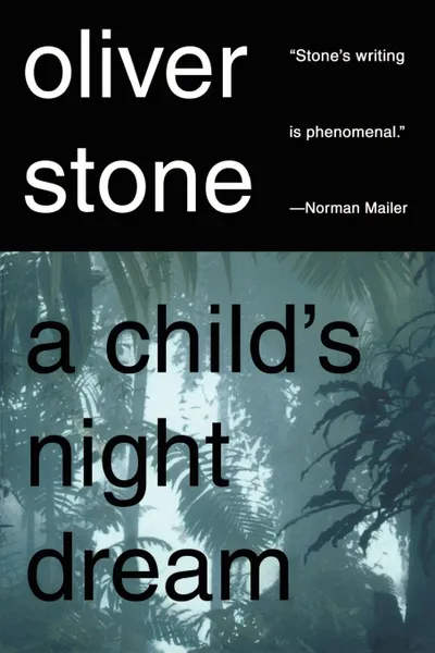 Обложка книги A Child's Night Dream, Oliver Stone