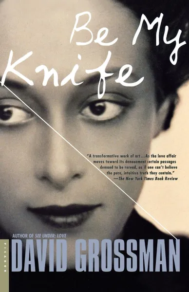 Обложка книги Be My Knife, David Grossman