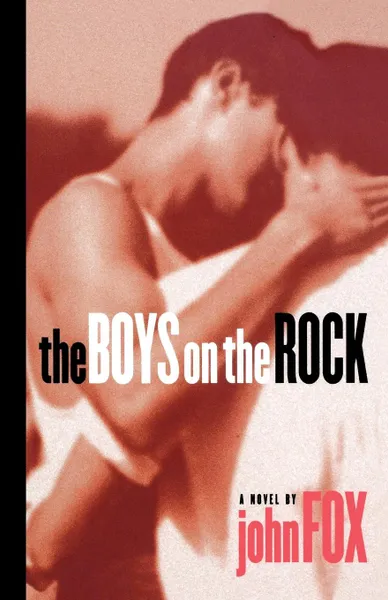 Обложка книги The Boys on the Rock, John Fox