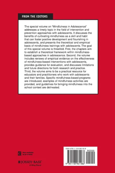 Обложка книги Mindfulness in Adolescence, YD, YD