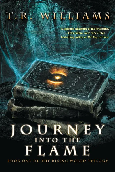 Обложка книги Journey Into the Flame, T. R. Williams