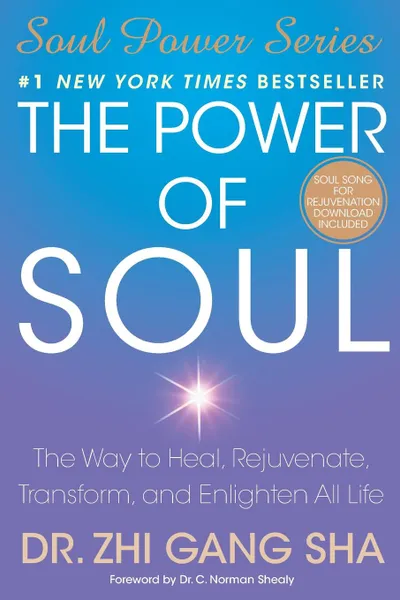 Обложка книги POWER OF SOUL, GANG SHA ZHI
