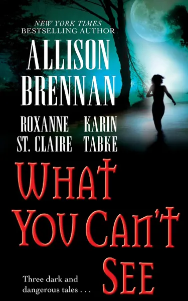 Обложка книги What You Can't See, Allison Brennan, Karin Tabke, Roxanne St Claire