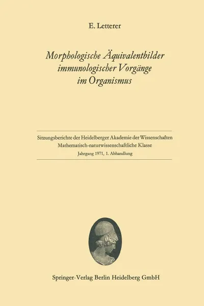 Обложка книги Morphologische Aquivalentbilder Immunologischer Vorgange Im Organismus, Erich Letterer, J'Urgen Herzog