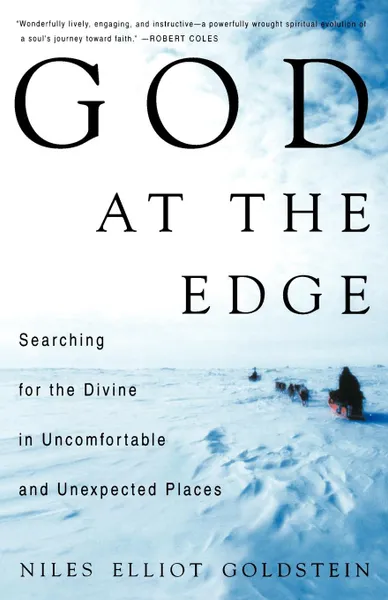 Обложка книги God at the Edge, Niles Goldstein