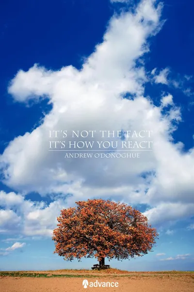 Обложка книги It's Not the Fact, It's How You React, Andrew O'Donoghue