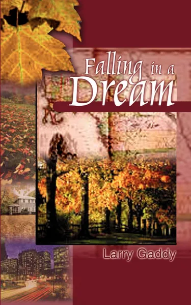 Обложка книги Falling in a Dream, Larry Gaddy