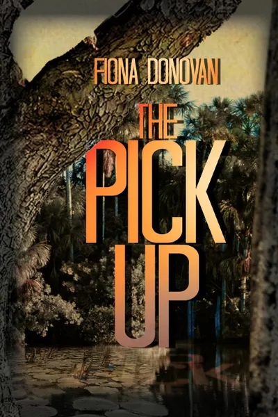 Обложка книги The Pick Up, Fiona Donovan