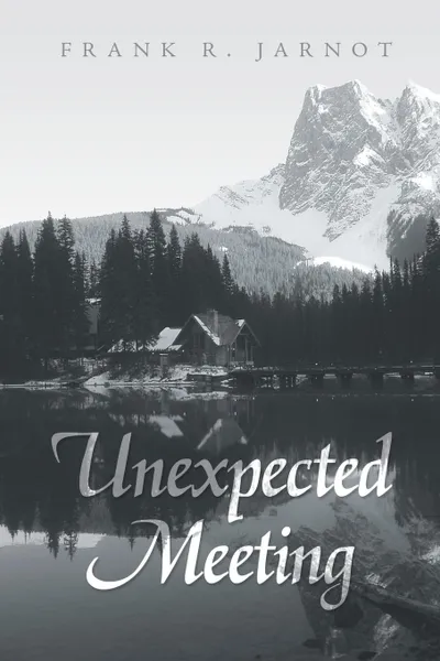 Обложка книги Unexpected Meeting, Frank R. Jarnot