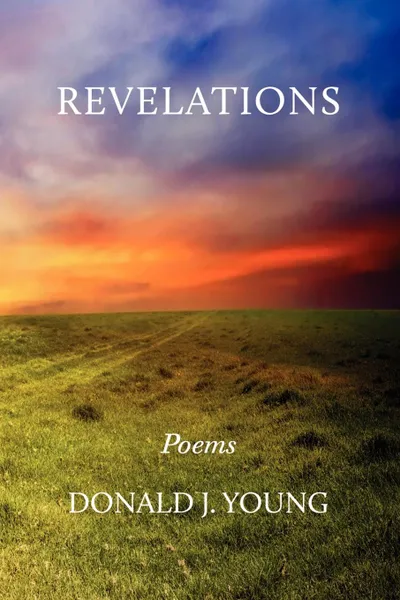 Обложка книги REVELATIONS, Donald J. Young