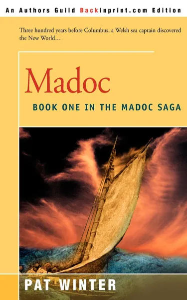 Обложка книги Madoc, Pat Winter