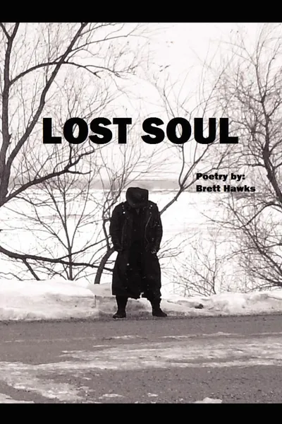 Обложка книги Lost Soul, Brett Hawks