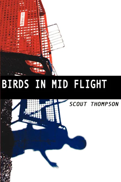 Обложка книги Birds in Mid Flight, Scout Thompson, C Salvaggio