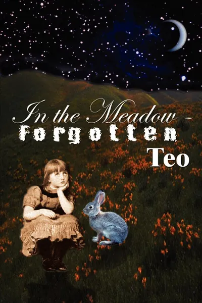 Обложка книги In the Meadow - Forgotten, Teo