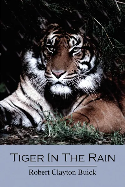 Обложка книги Tiger in the Rain, Robert Clayton Buick