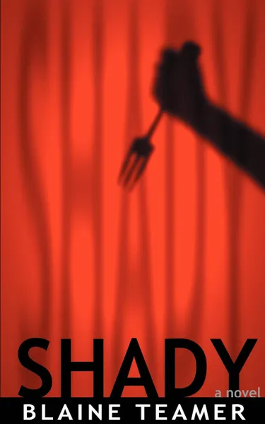 Обложка книги Shady, Blaine Teamer