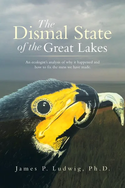 Обложка книги The Dismal State of the Great Lakes. An Ecologist's Analysis of Why It Happened, and How to Fix the Mess We Have Made., James P. Ludwig Ph. D.