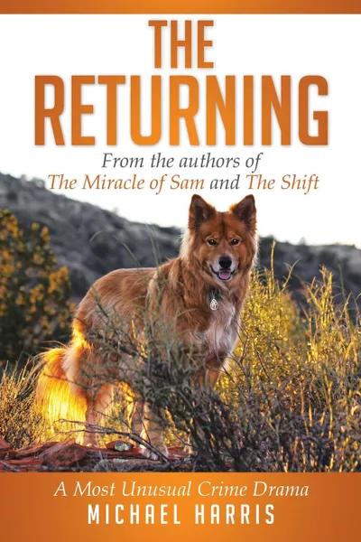 Обложка книги The Returning. A Most Unusual Crime Drama, Michael Harris