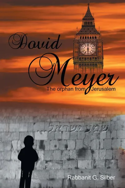 Обложка книги Dovid Meyer. The Orphan from Jerusalem, Rabbanit G. Silber