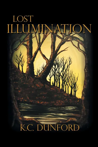 Обложка книги Lost Illumination, K.C. Dunford