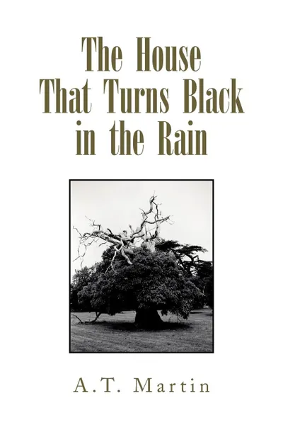 Обложка книги The House That Turns Black in the Rain, A. T. Martin