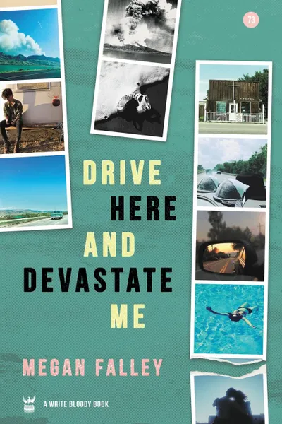 Обложка книги Drive Here and Devastate Me, Megan Falley